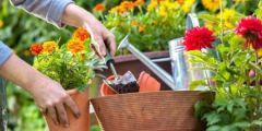 15x tuintips voor de maand maart!