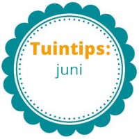 Tuintips Juni