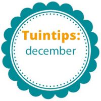 Wat te doen in de tuin in december?