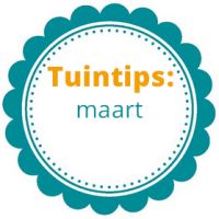 Wat te doen in de tuin in maart?