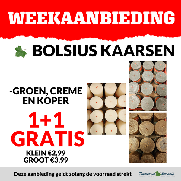 BOLSIUS 1+1 GRATIS