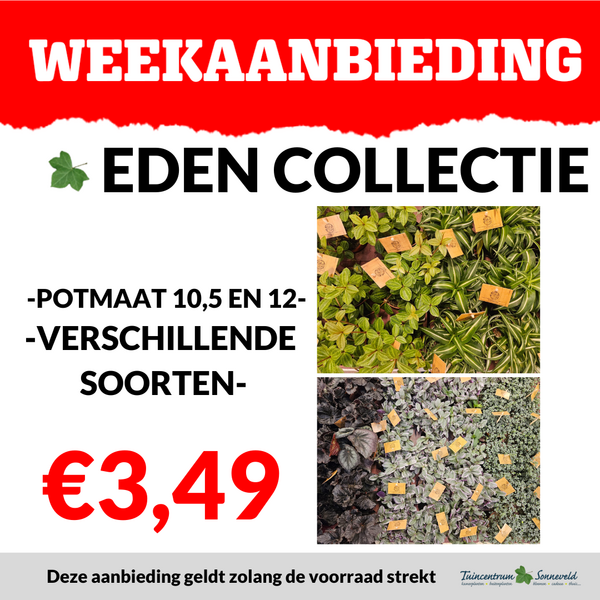 EDEN COLLECTIE €3,49