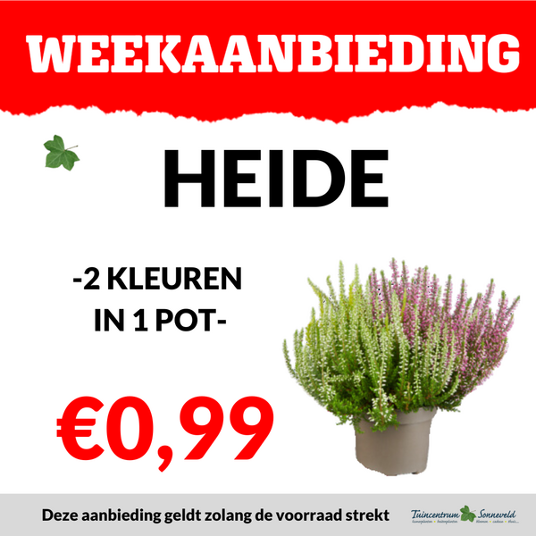 HEIDE €0,99