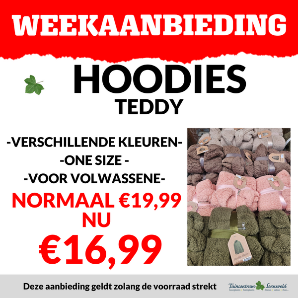 HOODIE TEDDY €16,99