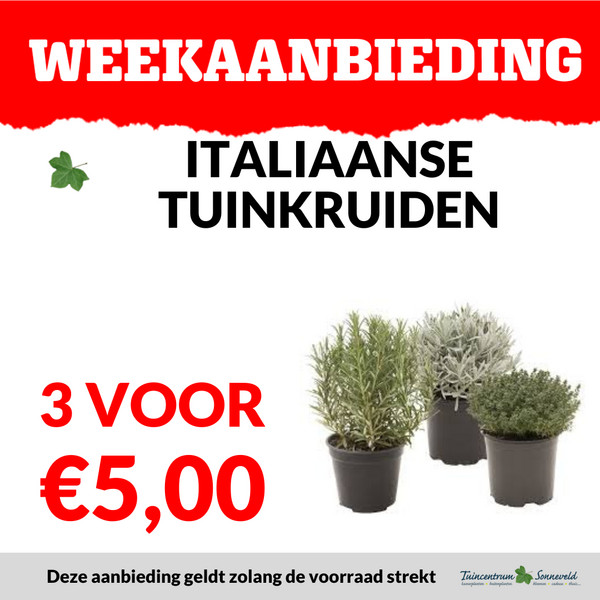 ITALIAANSE TUINKRUIDEN 2 VOOR €5,00