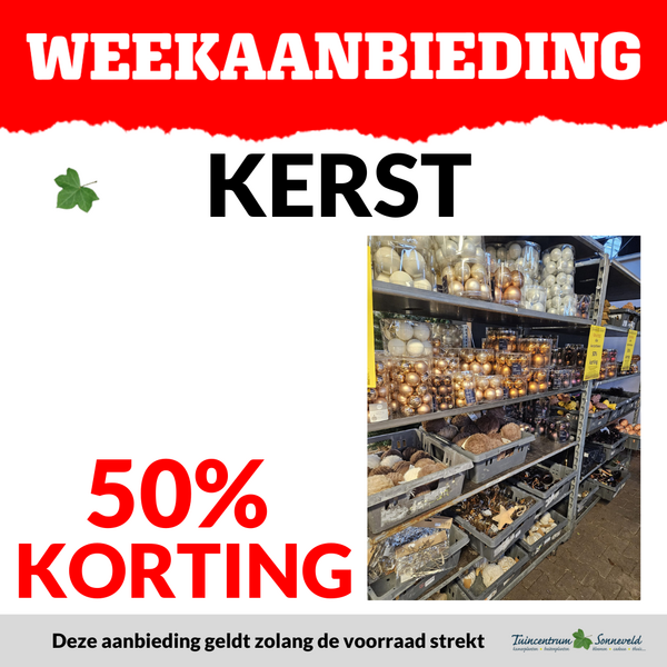 KERST 50% KORTING