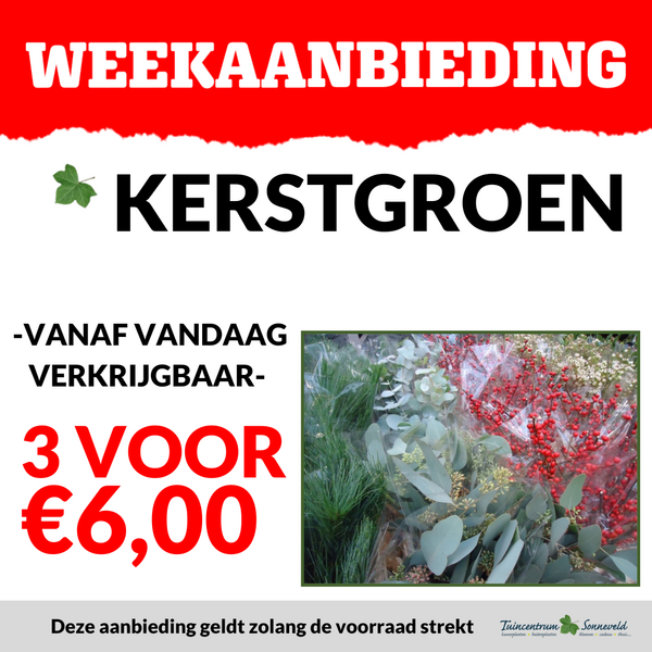 KERSTGROEN