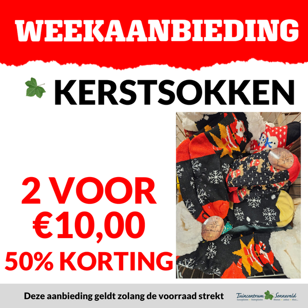 KERSTSOKKEN 2V10 50% KORTING