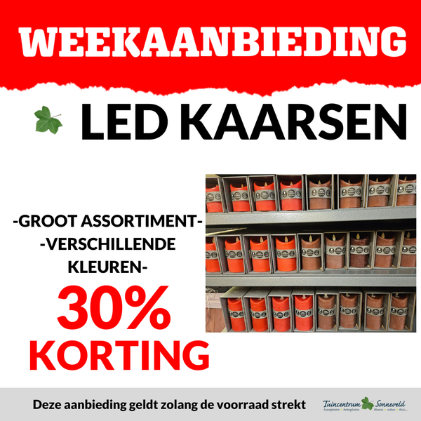 LED KAARSEN 30% KORTING