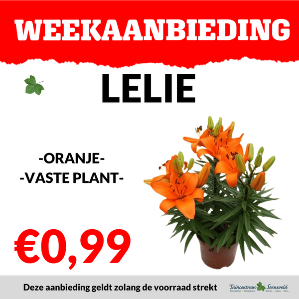 LELIE €0,99