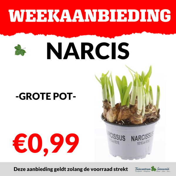 NARCIS €0,99