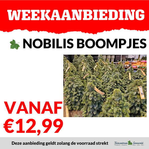 NOBILIS BOOMPJES VANAF €12,99