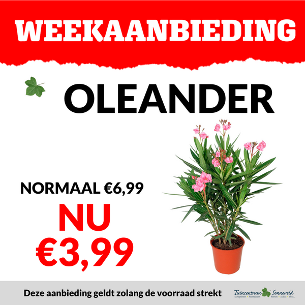 OLEANDER €3,99