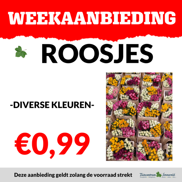 ROOSJES €0,99