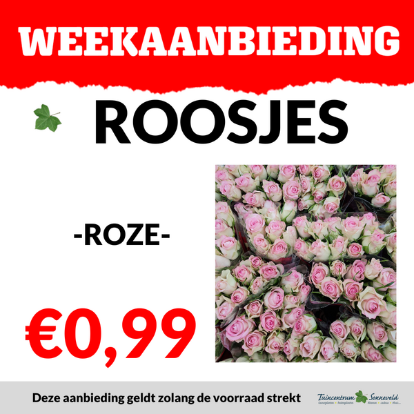 ROOSJES €0,99