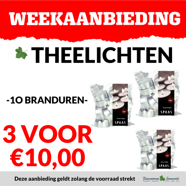 THEELICHTEN 3 VOOR €10,00