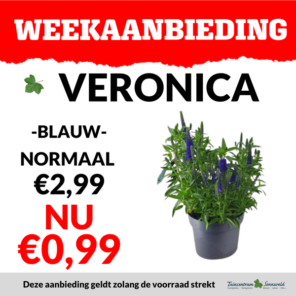 VERONICA €0,99