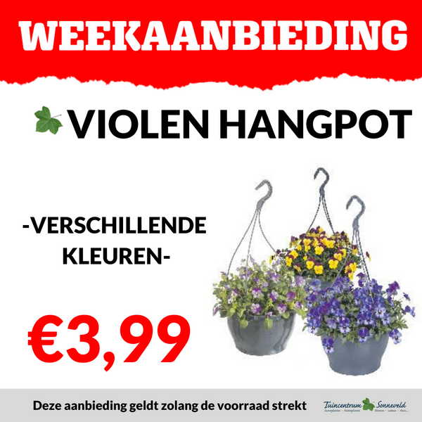 VIOLEN HANGPOT €3,99