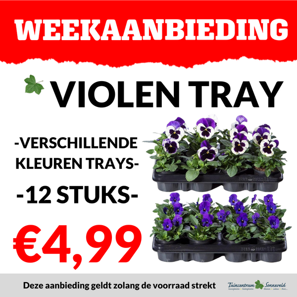 VIOLEN TRAY €4,99