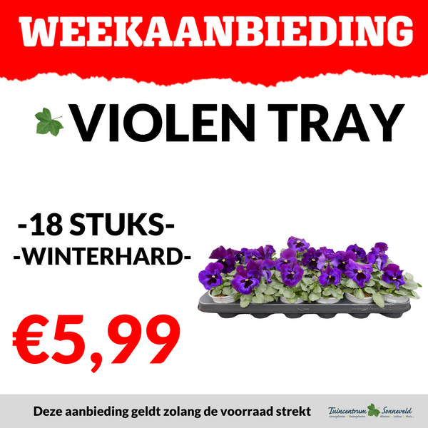 VIOLEN TRAY €5,99