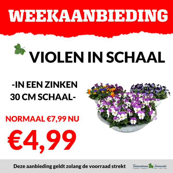 VIOLENSCHAAL  €4,99